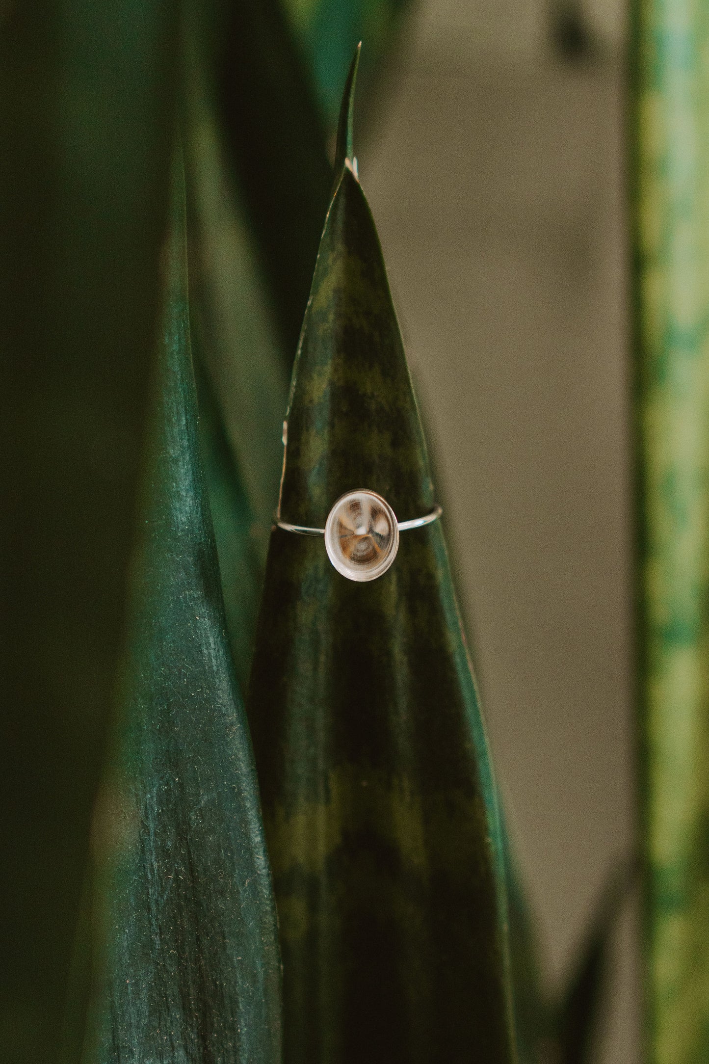 Botanical Keepsake Ring